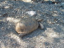 photo thumbnail #14