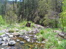 photo thumbnail #5