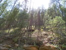 photo thumbnail #7