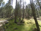 photo thumbnail #11