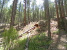 photo thumbnail #13