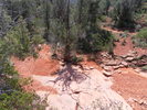 photo thumbnail #11