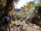 photo thumbnail #8