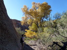 photo thumbnail #9
