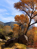 photo thumbnail #11