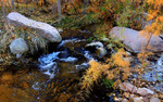 photo thumbnail #14
