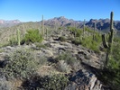 photo thumbnail #2