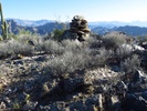 photo thumbnail #3