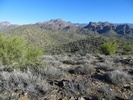 photo thumbnail #4