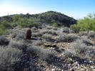 photo thumbnail #5