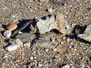 photo thumbnail #11
