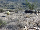photo thumbnail #12