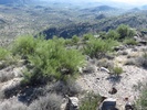 photo thumbnail #14
