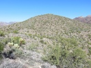 photo thumbnail #2