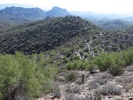 photo thumbnail #4