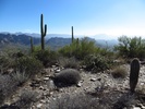 photo thumbnail #6