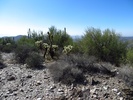 photo thumbnail #8