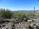 photo thumbnail #9