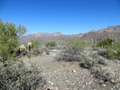photo thumbnail #11