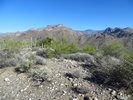 photo thumbnail #12