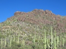 photo thumbnail #1
