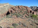 photo thumbnail #8
