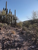 photo thumbnail #7