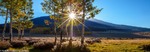 photo thumbnail #15