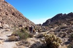photo thumbnail #13