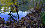 photo thumbnail #9