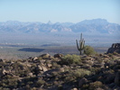 photo thumbnail #5