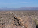 photo thumbnail #15