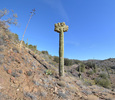 photo thumbnail #6