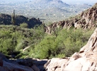 photo thumbnail #13