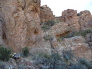 photo thumbnail #4