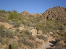 photo thumbnail #3