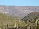 photo thumbnail #5