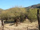 photo thumbnail #7
