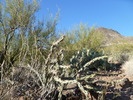 photo thumbnail #10