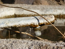 photo thumbnail #14