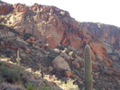 photo thumbnail #3