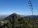 photo thumbnail #3