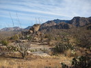 photo thumbnail #1