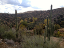 photo thumbnail #9