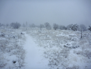 photo thumbnail #6