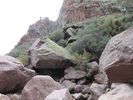 photo thumbnail #5