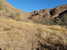 photo thumbnail #7