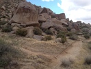 photo thumbnail #15