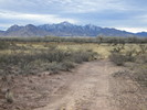 photo thumbnail #5
