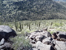 photo thumbnail #9
